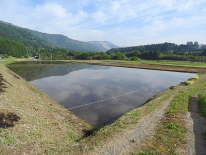『PREMIUM WATER 熊本復興イベント稲刈り体験2018』を開催